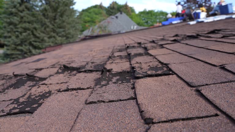 Emergency Roof Repair in Buena Vista, VA