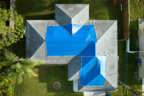 Best Asphalt Shingles Roofing  in Buena Vista, VA