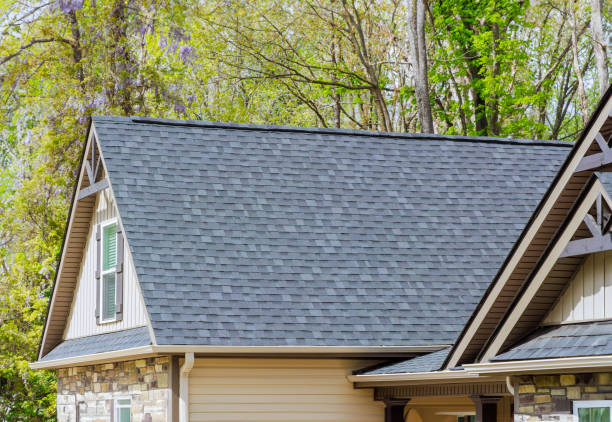 Best Roof Coating and Sealing  in Buena Vista, VA