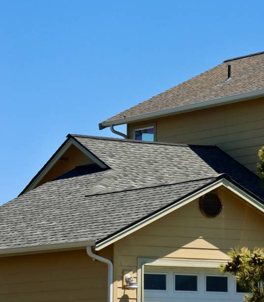 Best Steel Roofing  in Buena Vista, VA